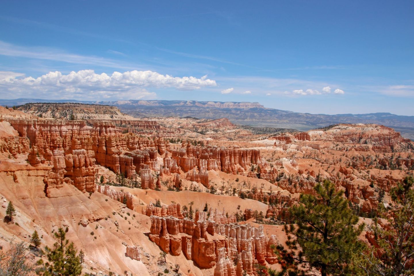 Bryce Canyon National Park - Orange bluffs and pine trees. Enter the park for $30 or use your America The Beautiful Pass